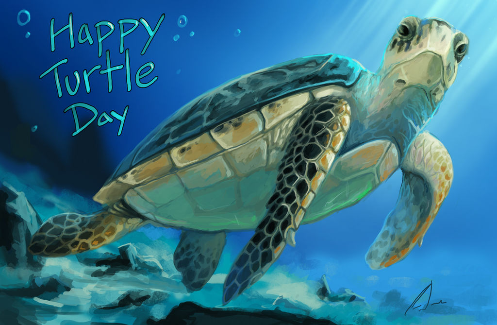 World Turtle Day